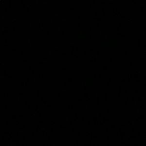 Meet your Posher, Shanyah